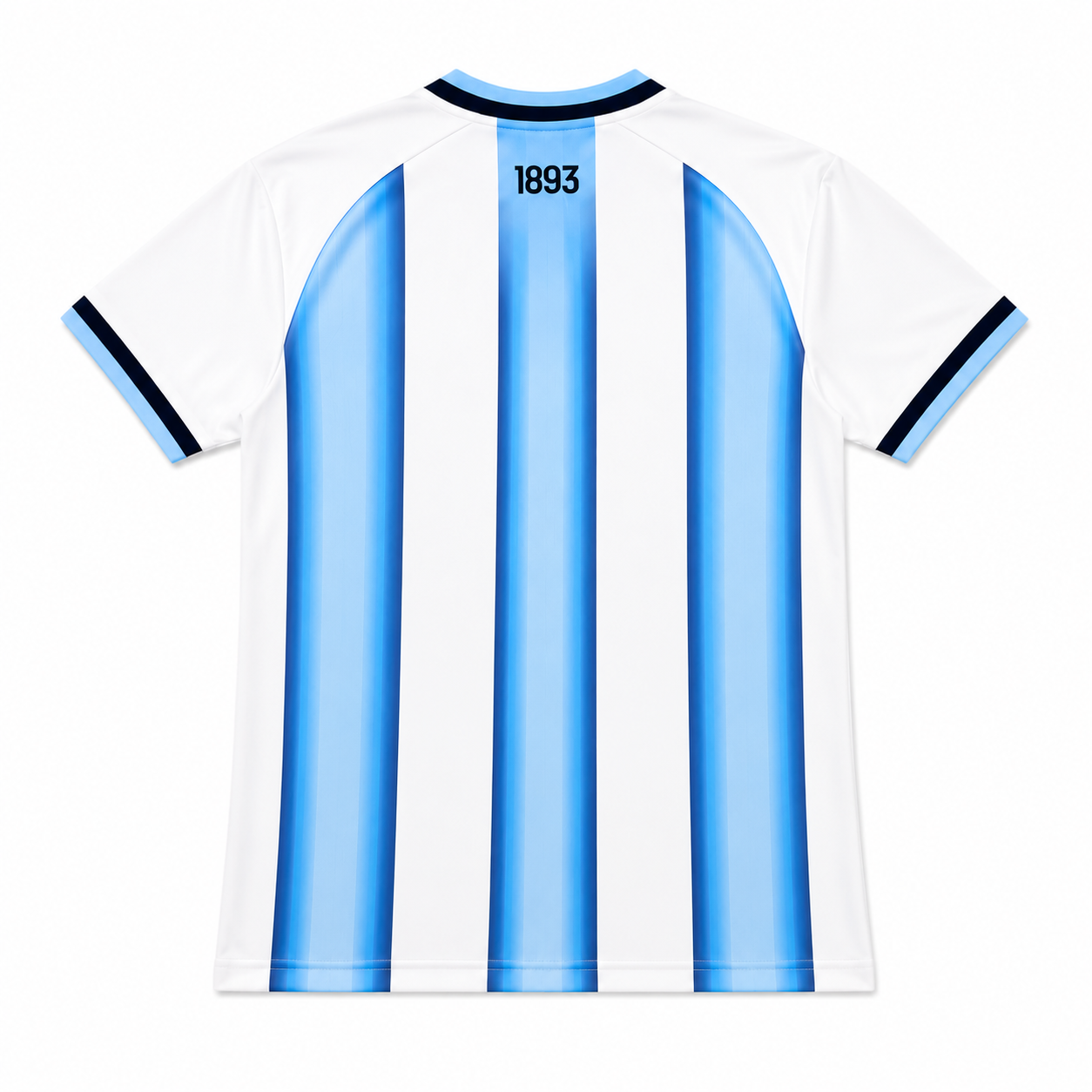 2026 Argentina Home Fan Jersey